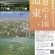 企画展「湿原の王国・道東」（釧路市立博物館）