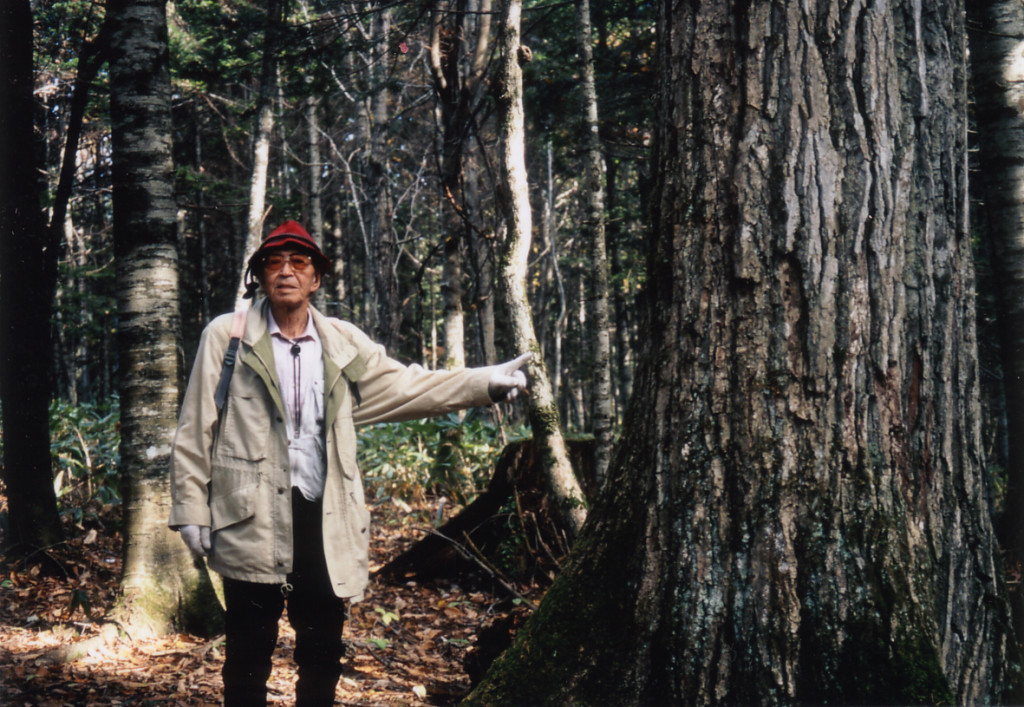 元東京大学北海道演習林長・高橋延清先生　2001年（平成13）ミズナラの巨木と