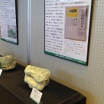 開催中の特別展・寄贈資料展「日高の翠の石－アオトラと日高ヒスイ－」 近年研究を行なっている日高ヒスイのブースです．